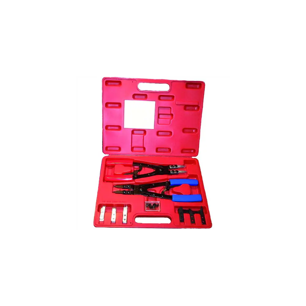Snap Ring Plier Set - 2 x 10" clips and 16 interchangeable tips - RODHC2117